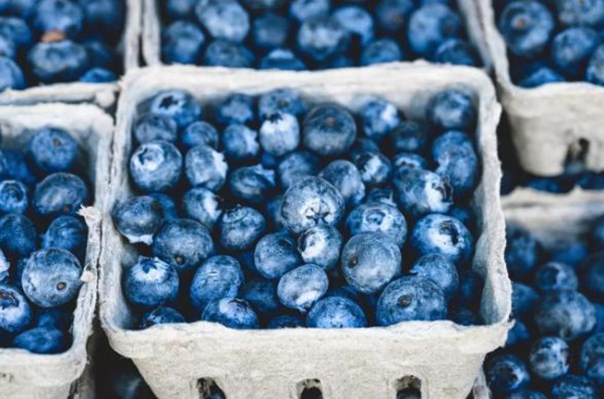 Imatge d'arxiu sobre "Els nabius son rics en antioxidants"