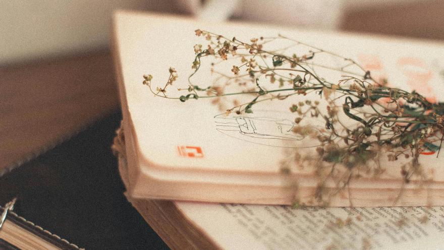 ¿Cuánto sabes sobre poesía?