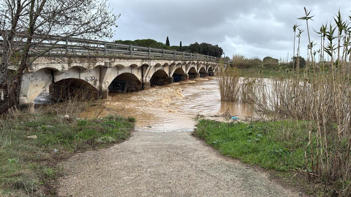 El Manol al seu pas per Figueres i Vilatenim ha arribat als 77m3/2 de cabal