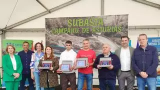 Multitudinaria Feria del Salmón en Cornellana pese a la falta del campanu de Asturias: "Es mítica, hay que venir sí o sí"