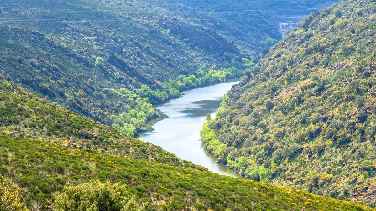 El Parque Natural de Arribes del Duero es patrimonio compartido entre dos fronteras.