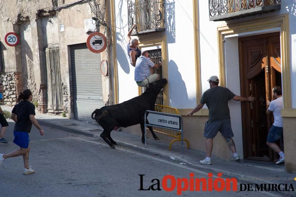 Cuarto encierro Fiestas de Moratalla