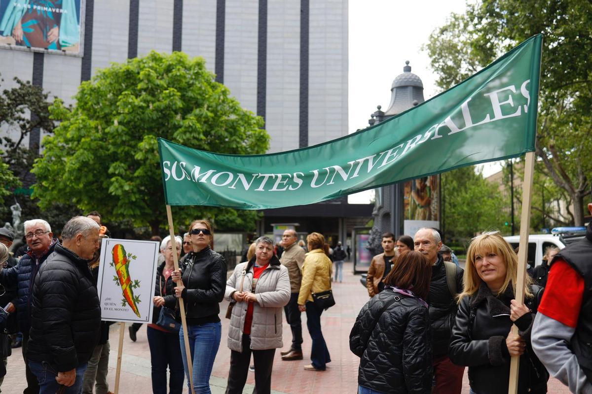 Fotogalería | Manifestación contra la tala masiva de árboles en los ...