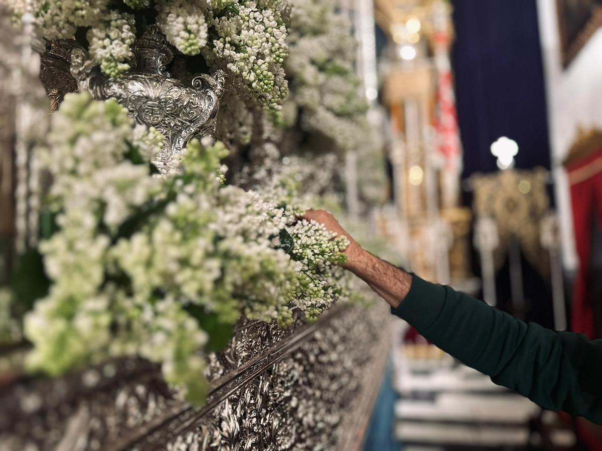 Uno de los florista coloca las lilas blancas en el paso de palio de la Virgen de las Aguas de la Hermandad del Museo.