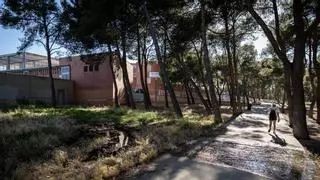 Charcos y riachuelos en un parque de Torrero provocados por la fuga en las piscinas municipales