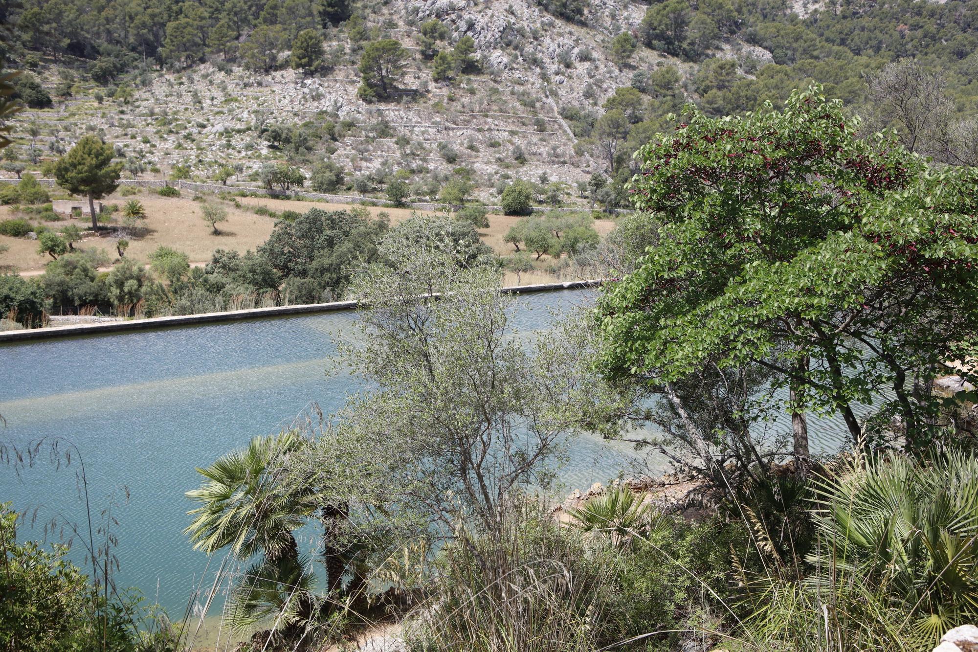 So sieht es auf dem Landgut Raixa auf Mallorca aus