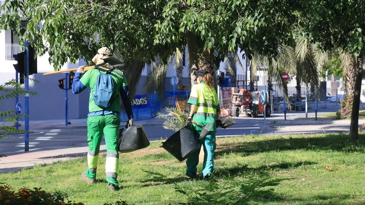 Una entidad de inclusión laboral lleva los impagos municipales a la puerta del Ayuntamiento de Alicante