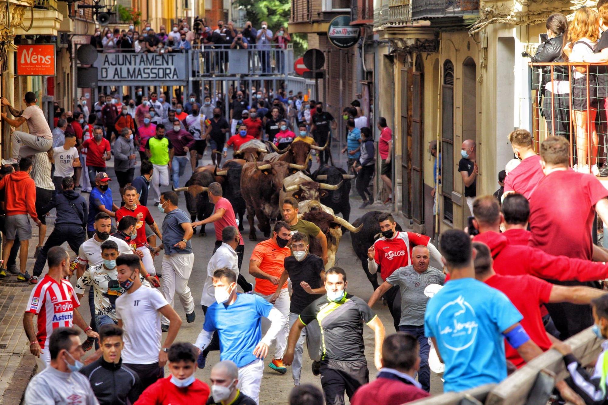 Bous al carrer | Las mejores imágenes del encierro de Almassora