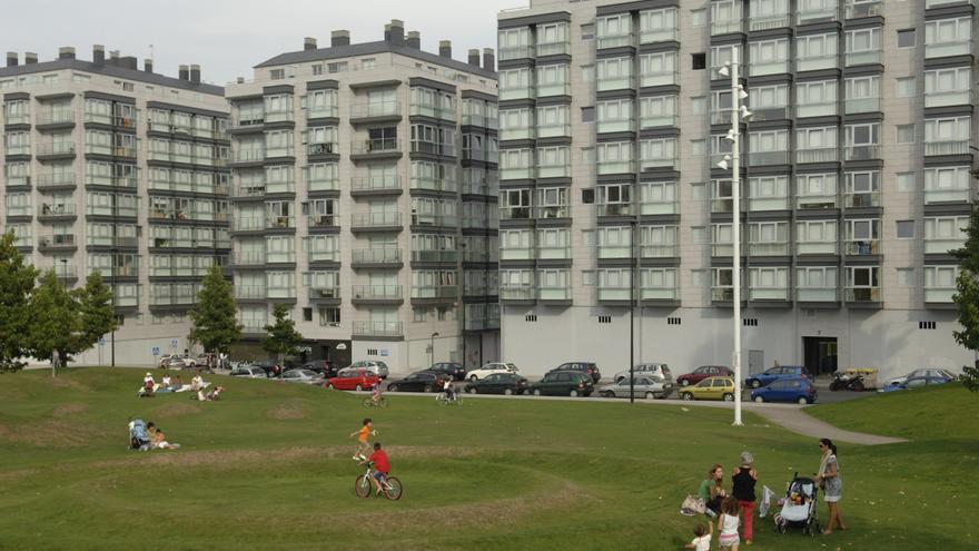 Una protectora alerta del uso de amoníaco en parques para envenenar perros