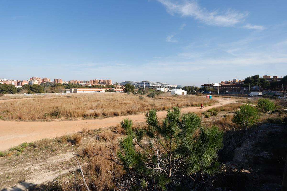 Terrenos donde se construirá el Hospital Arnau de Vilanova de Paterna