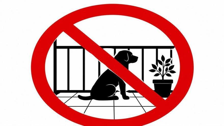 Ya ha entrado en vigor: la Ley de Bienestar animal prohíbe tener a un perro en la terraza y las multas pueden ser de hasta 50.000 euros
