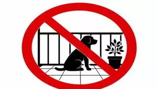 Ya ha entrado en vigor: la Ley de Bienestar animal prohíbe tener a un perro en la terraza y las multas pueden ser de hasta 50.000 euros