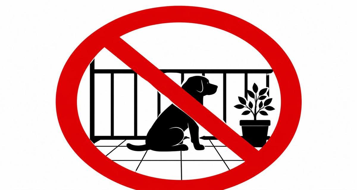 La Ley de Bienestar Animal no permite dejar abandonado a tu perro en la terraza
