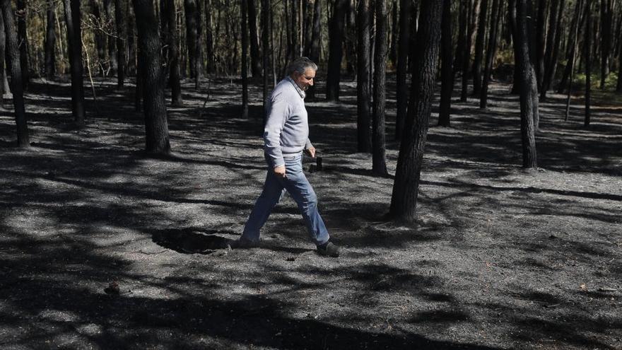 Un vecino pasea por un bosque calcinado // Lavandeira Jr (Efe)