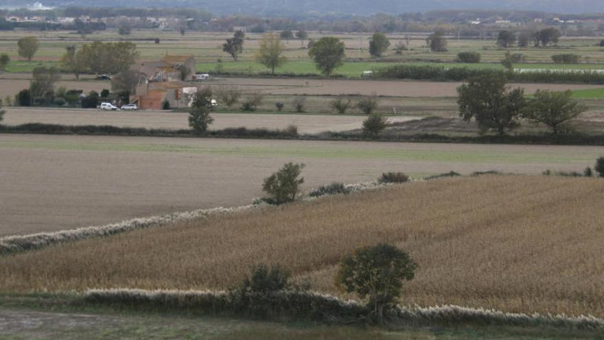 Camps on es podria instal·lar l&#039;aeròdrom.