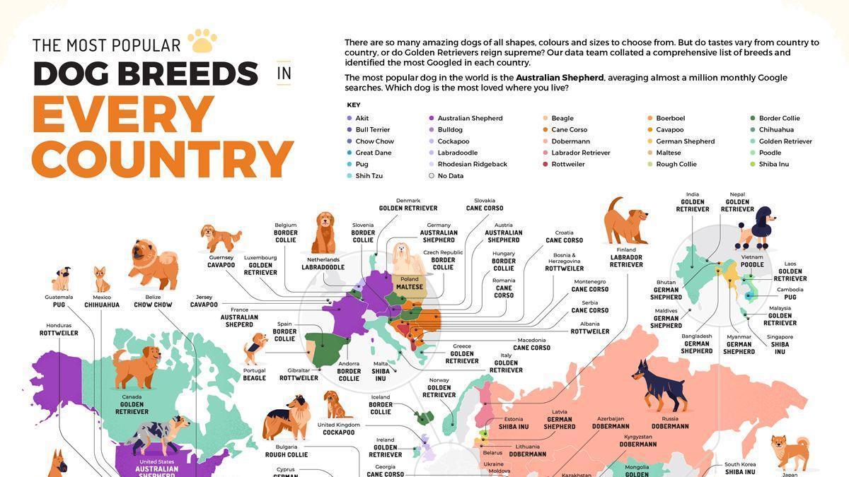 Mapa de les races de gos més populars per país