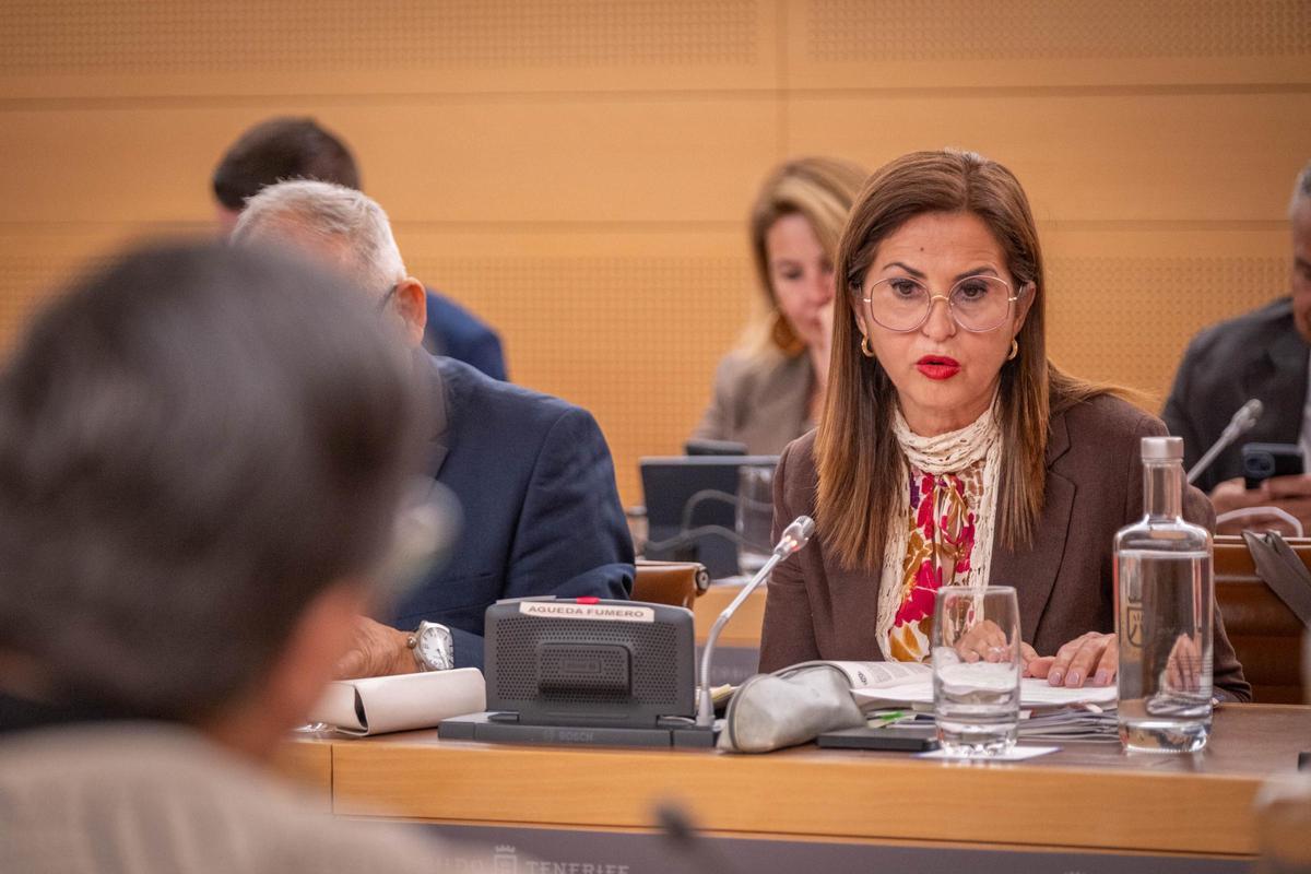 Debate sobre el estado de la isla de Tenerife