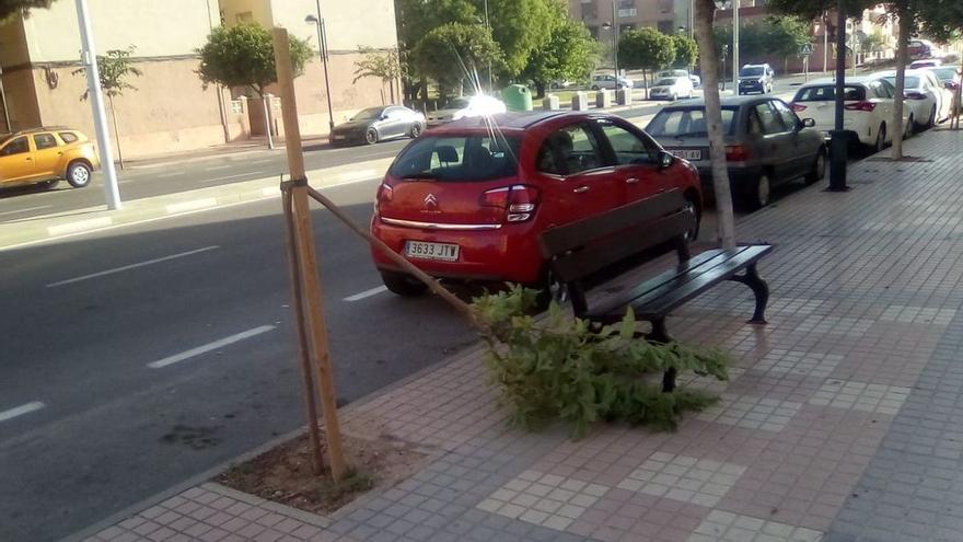 Cartagena intensifica la vigilancia ante el aumento de actos vandálicos contra jardines y mobiliario urbano