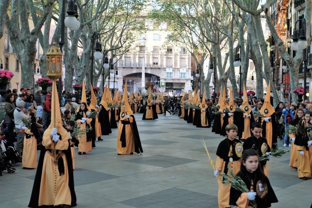 Prozession Ostern 2017 Palma Mallorca Palmsonntag