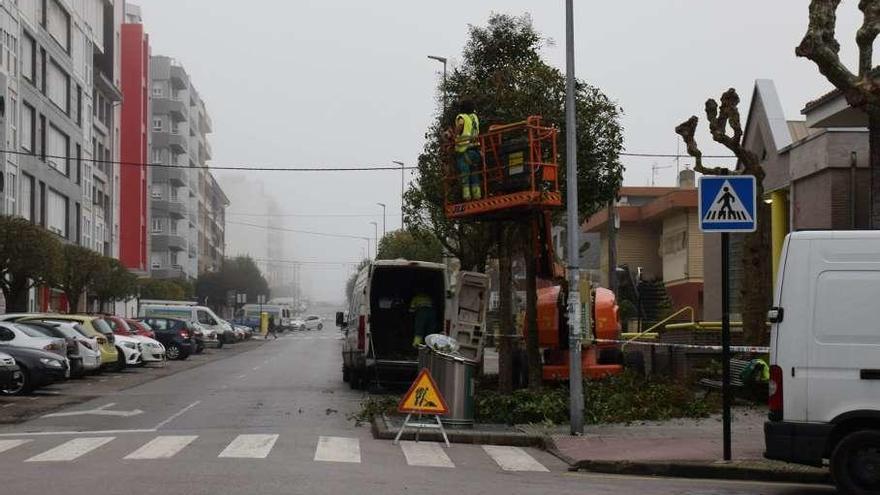 El Ayuntamiento poda los árboles de la Pola tras las críticas vecinales