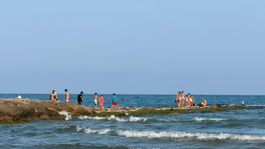Eimer und Netze an den Buhnen: Das Spiel, das an den Stränden von Benicàssim Besorgnis auslöst