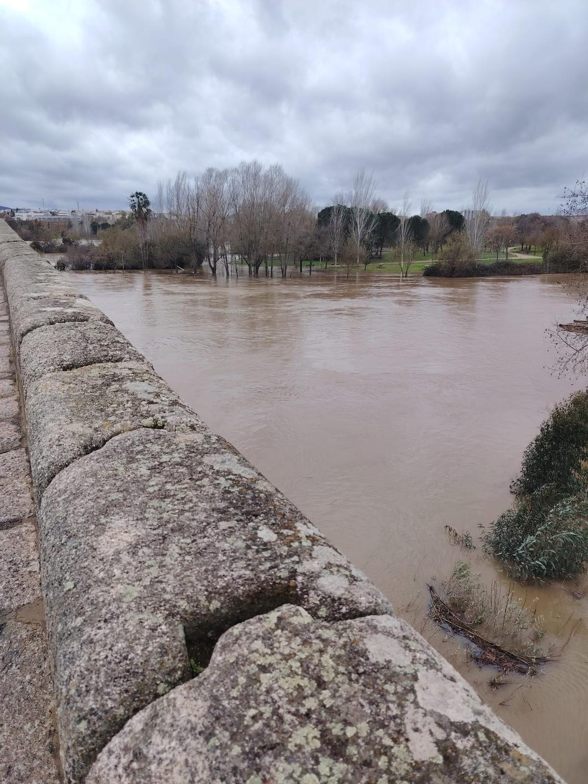La crecida del río Guadiana a su paso por Mérida anega el parque de La Isla La crecida del río Guadiana a su paso por Mérida anega el parque de La Isla