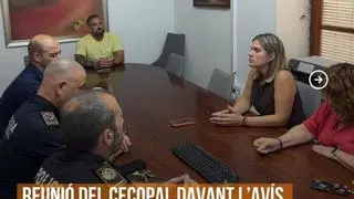 Alginet suspende las actividades al aire libre, cierra el cementerio y los jardines municipales
