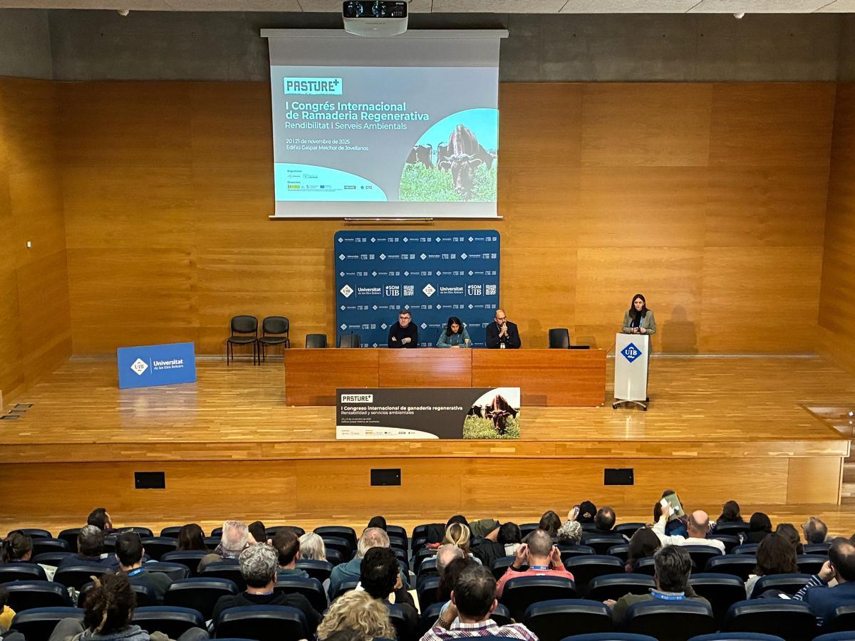 Imagen general de la inauguración del congreso celebrado en la UIB.