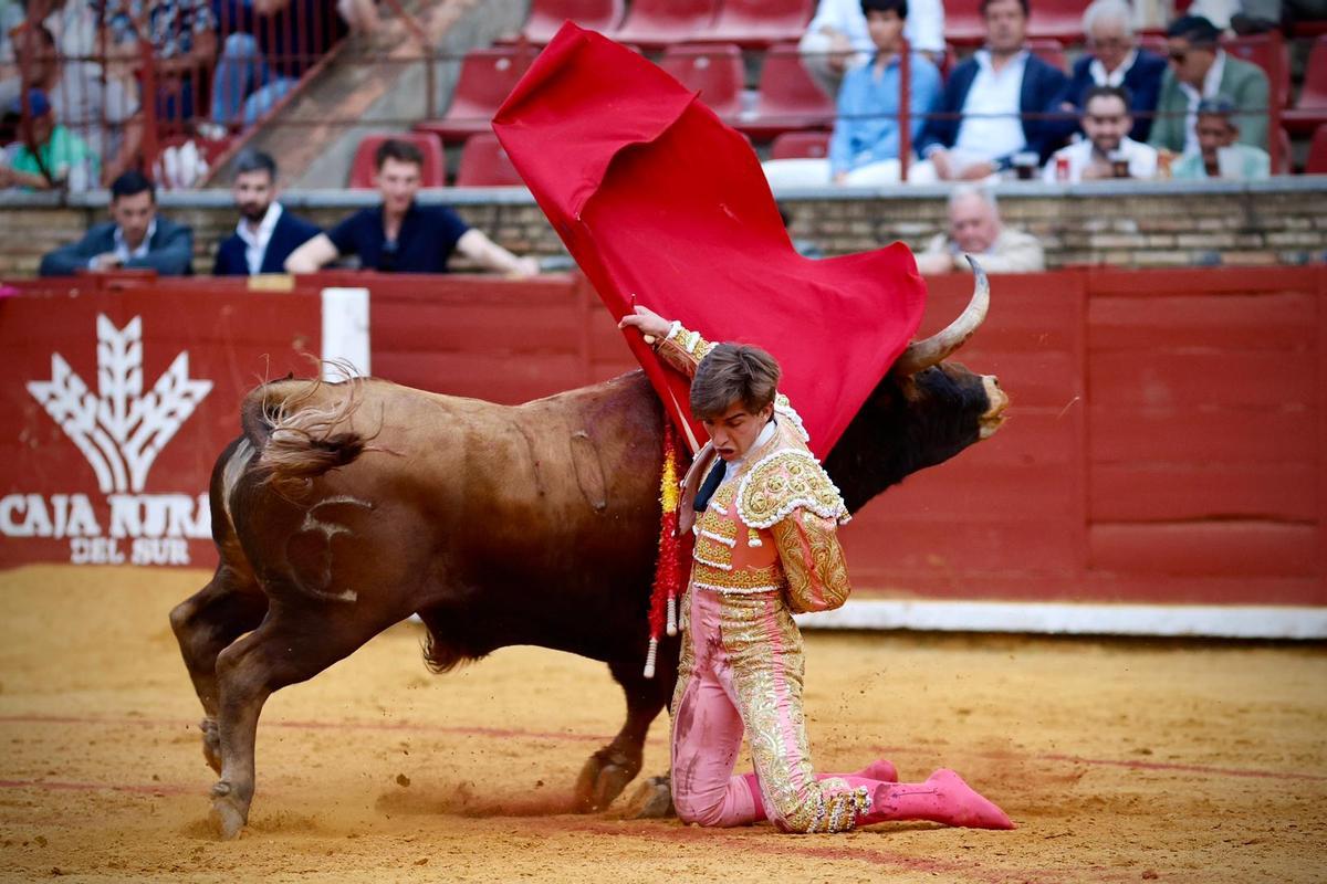 La novillada de Córdoba, en imágenes La novillada de Córdoba, en imágenes