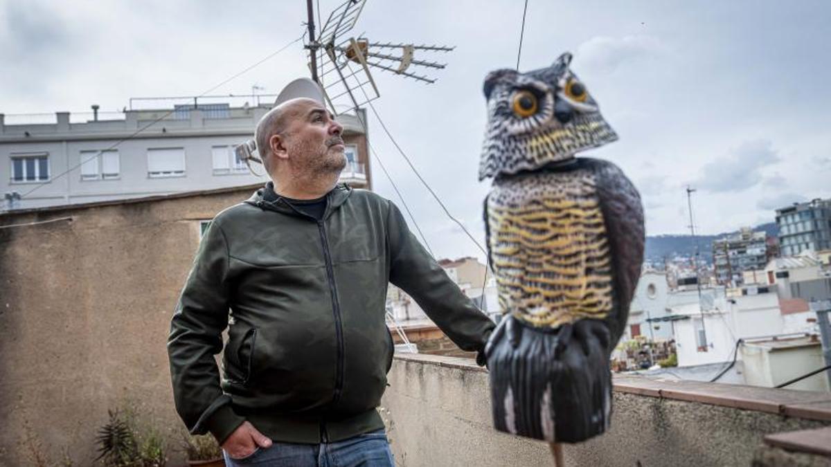 Carles Bellsolà, con el búho de plástico con el que trata de amedrentar a la gaviota para que anide en otro lugar.