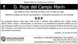 D. Pepe del Campo Marín