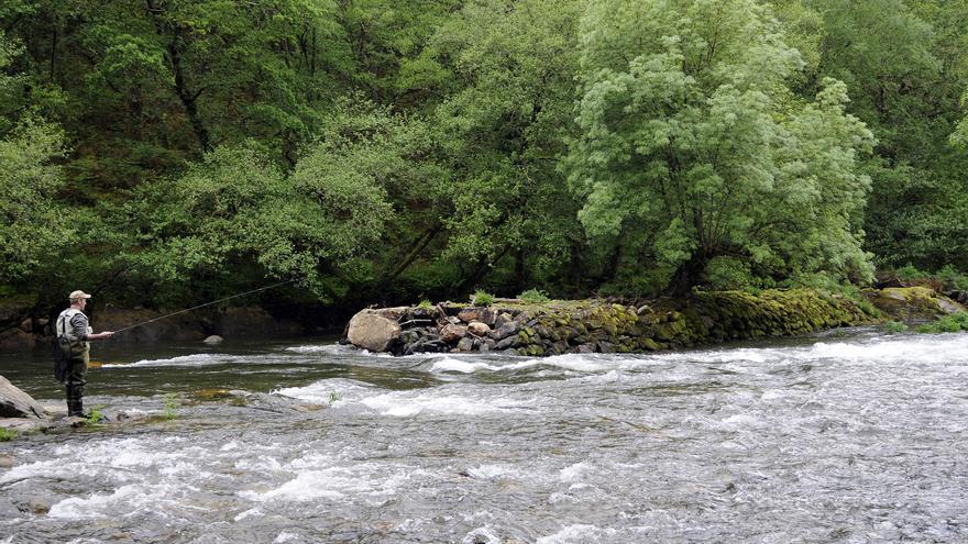 El mejillón de río revisa su censo