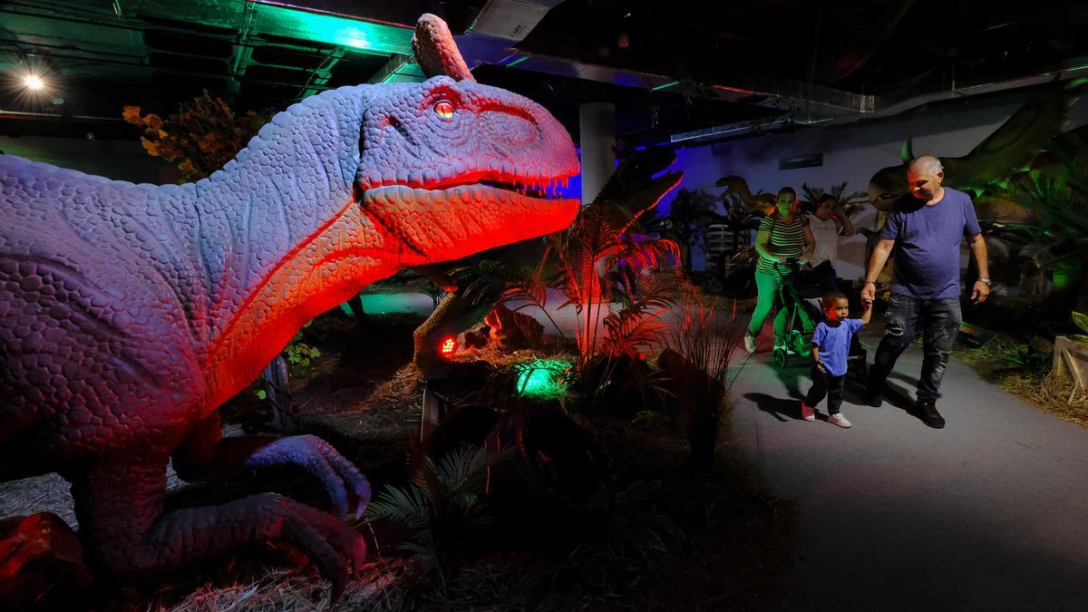 Exposición de dinosaurios en el Museo Elder