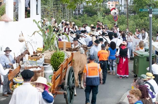 18/06/2016 ARUCAS . Romeria de ARUCAS. Foto: SABRINA CEBALLOS