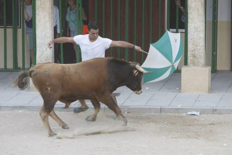 Encierro urbano en Fuentesaúco.