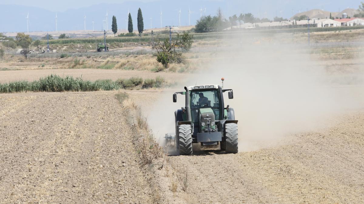 Agricultor labrando en el campo.