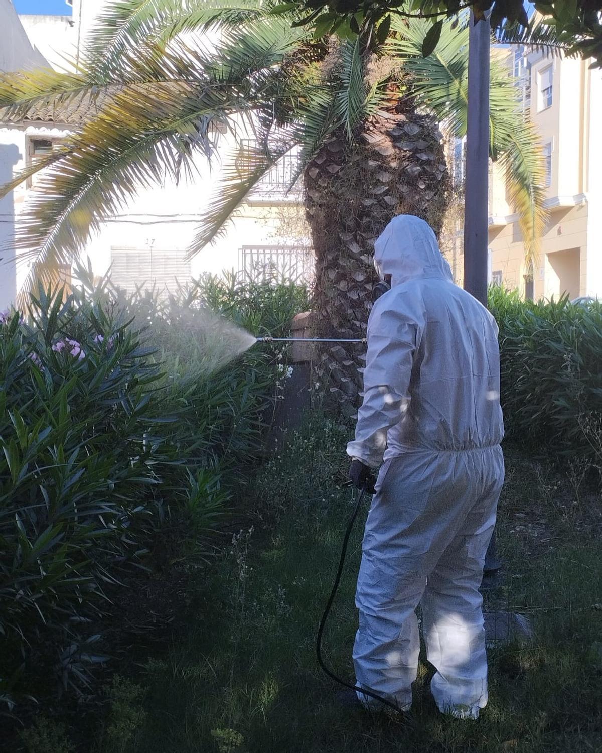 Un operario aplicando el tratamiento adulticida en una zona verde de Benigànim.