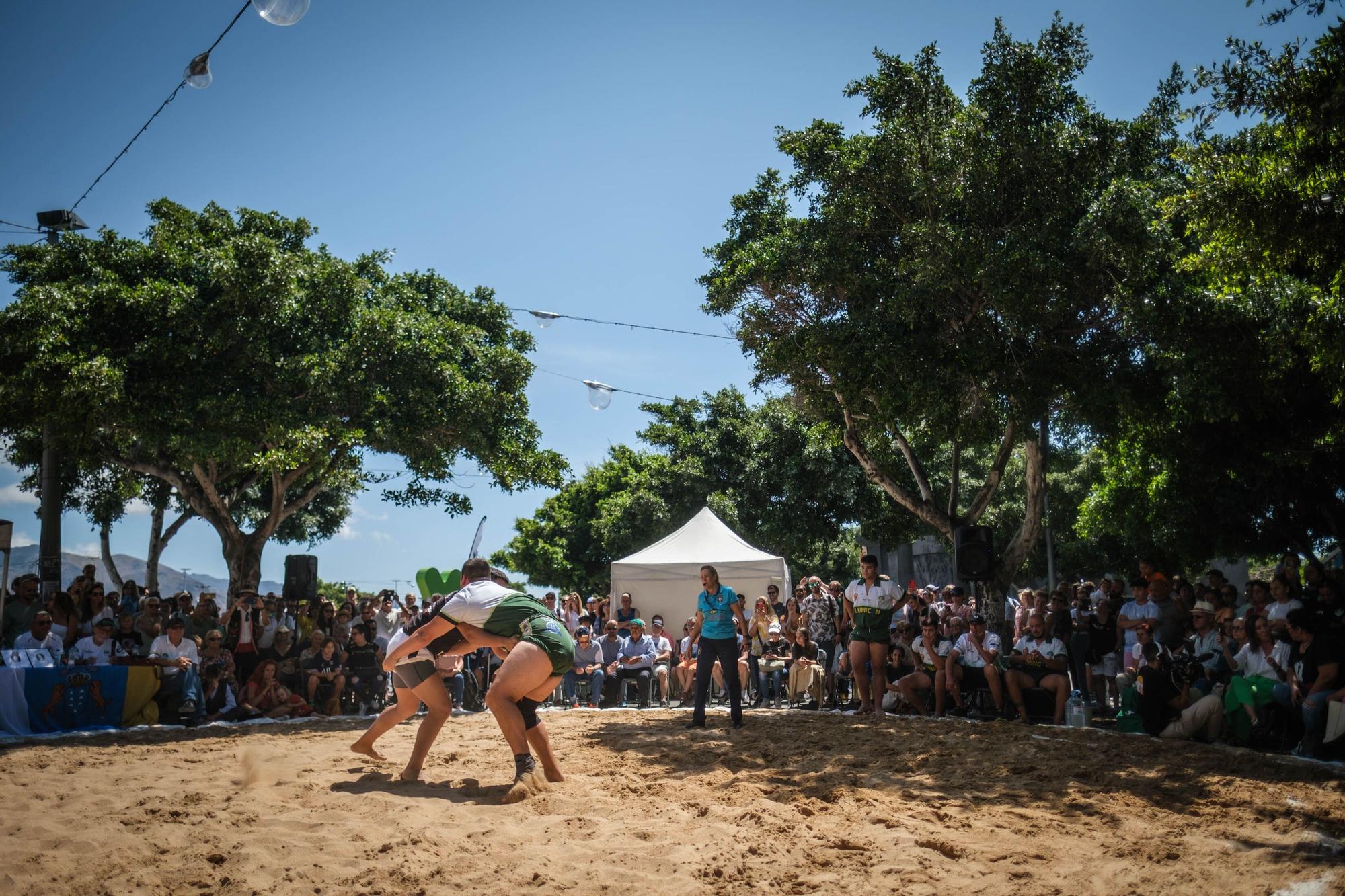 Santa Cruz celebra el Día de Canarias