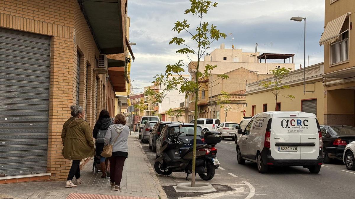 Plantación el pasado diciembrede árboles en la calle La Purísima de Torrellano dentro del plan sombra del Ayuntamiento de Elche