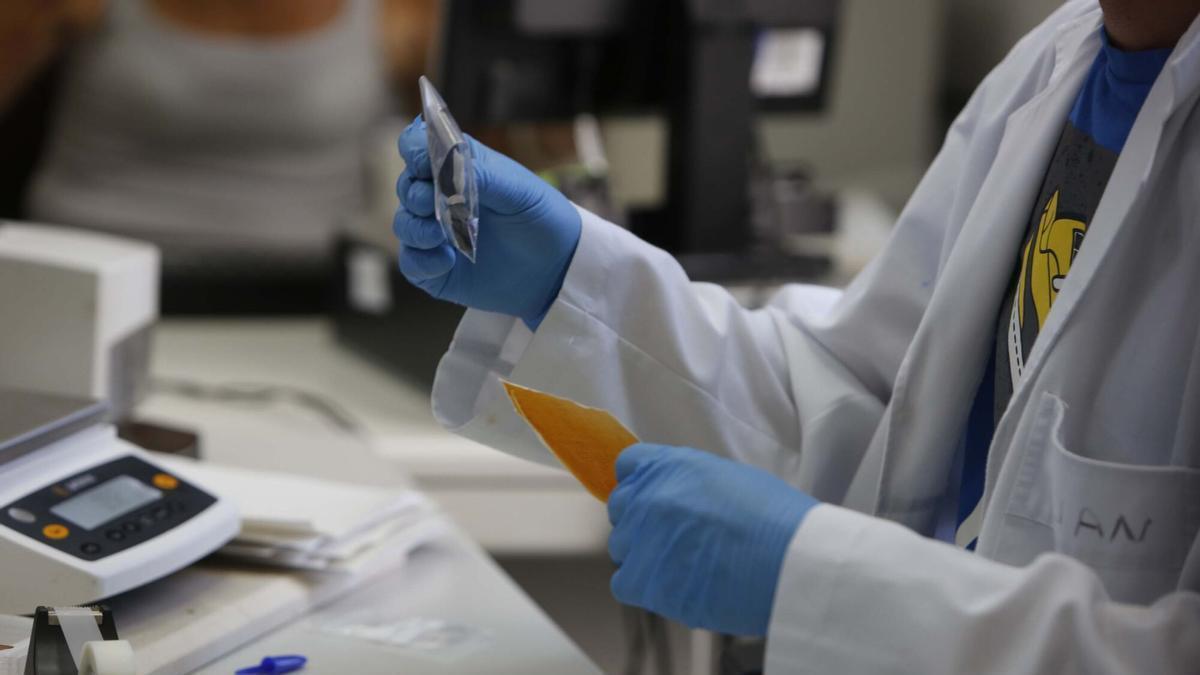 Una investigadora mallorquina obtiene una beca de la Fundación La Caixa para cursar un doctorado en Biología de Tumores