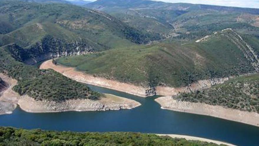 La Junta achaca a un error técnico del anterior Ejecutivo la muerte de aves