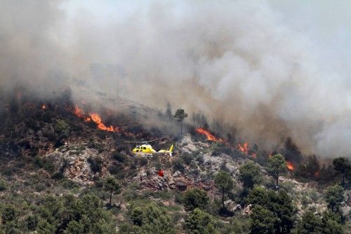 Alarm auf Mallorca: Waldbrand bei Andratx