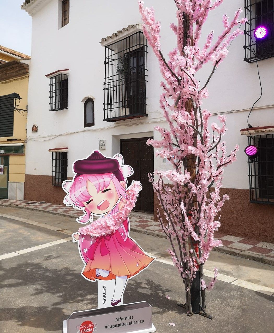 Celebración de Sakura en Alfarnate