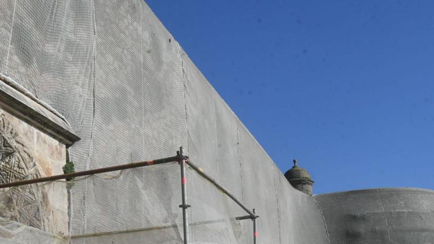Malla que cubre la muralla del jardín de San Carlos. | | CARLOS PARDELLAS