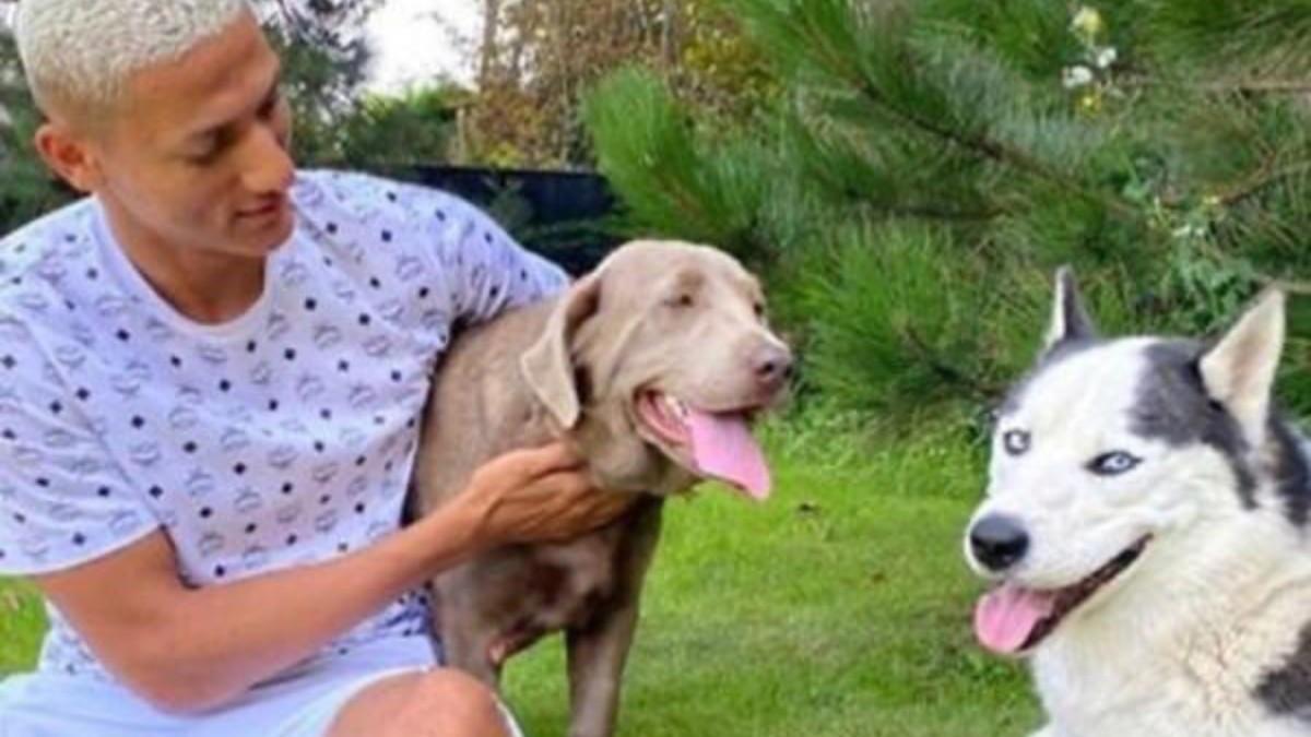 Richarlison junto a sus mascotas