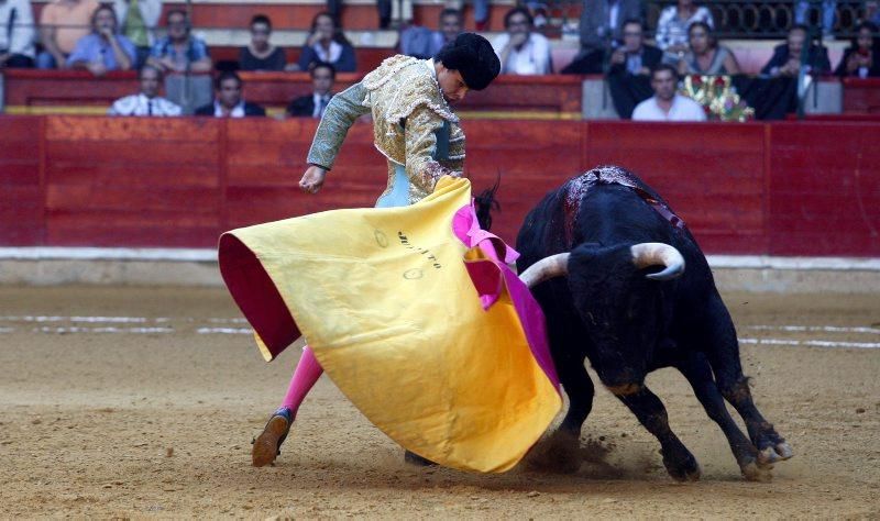 Novillada en la plaza de Toros