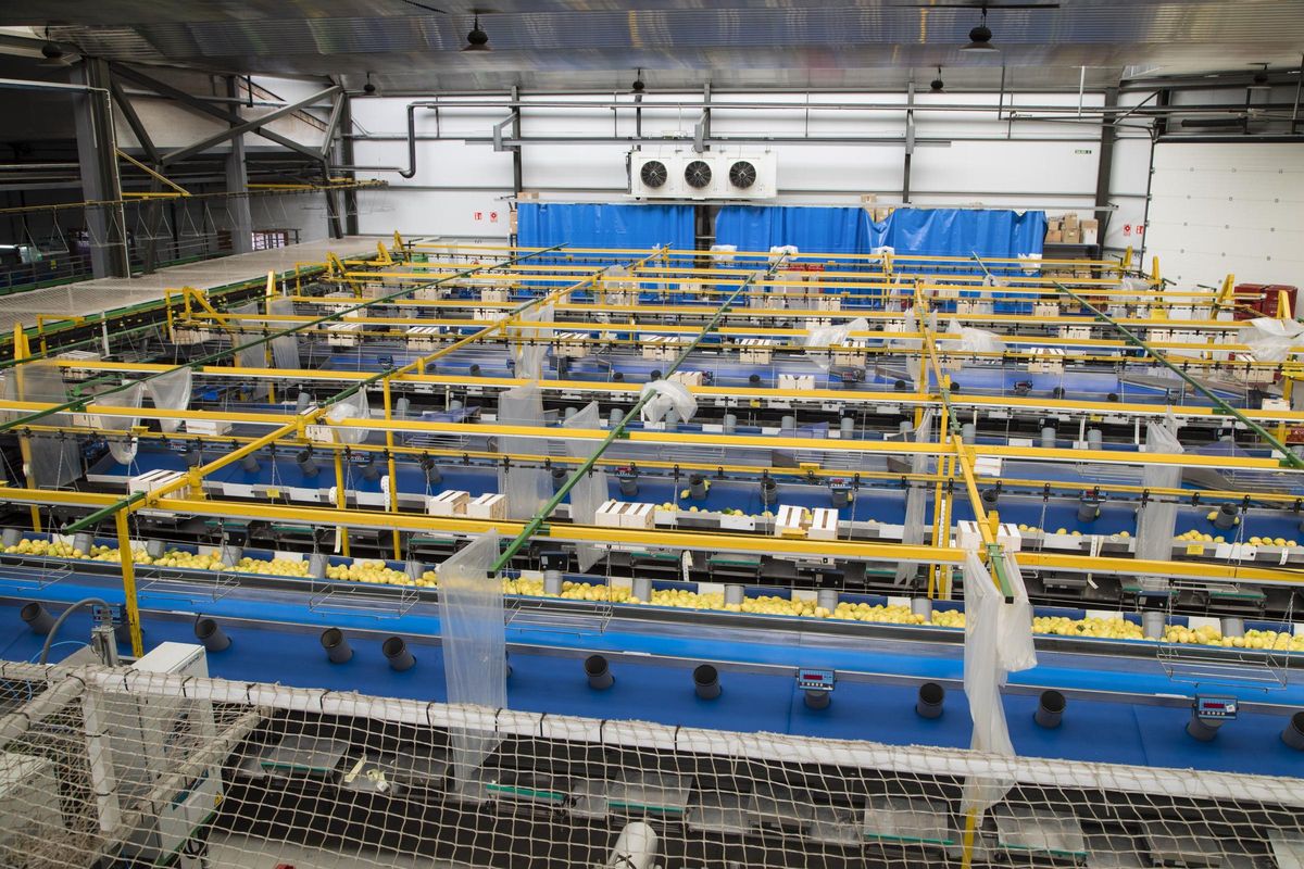 La entidad cuenta con su producción certificada con las normativas de calidad más exigentes.