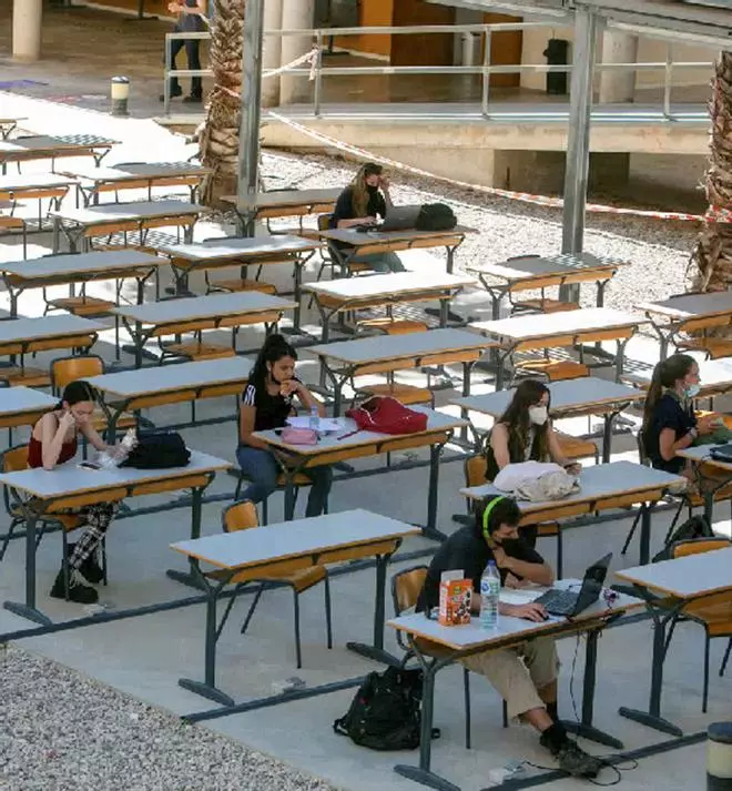 La UA prevé enriquecer todas sus carreras con las competencias que demandan las empresas