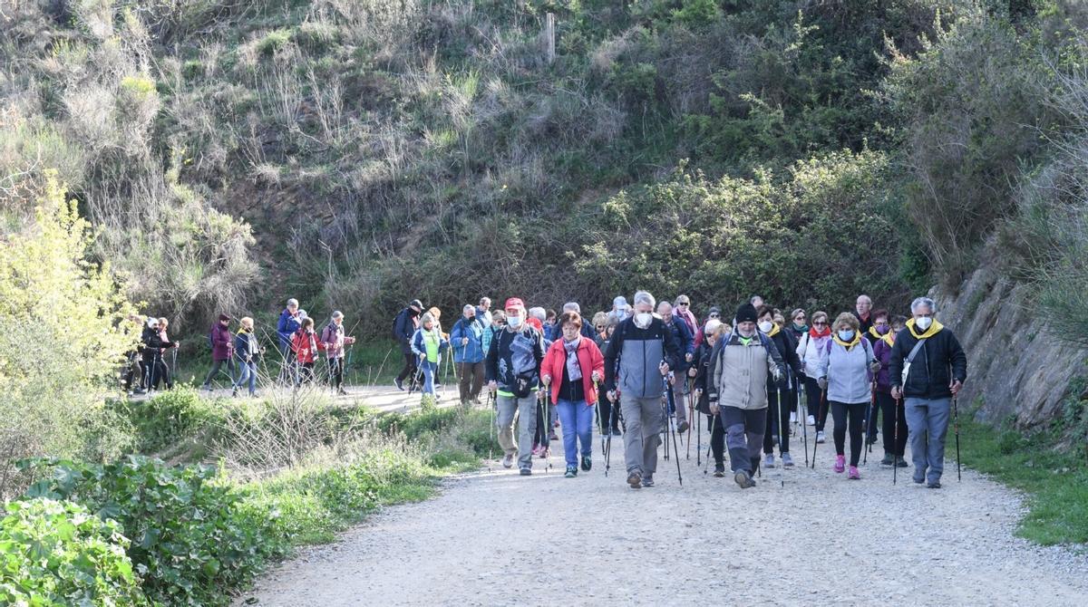 Los participantes durante la marcha nórdica en Collserola