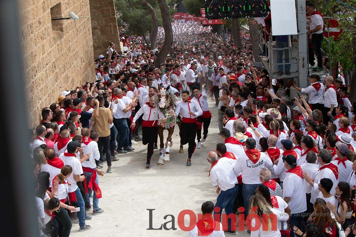 Así ha sido la carrera de los Caballos del Vino en Caravaca